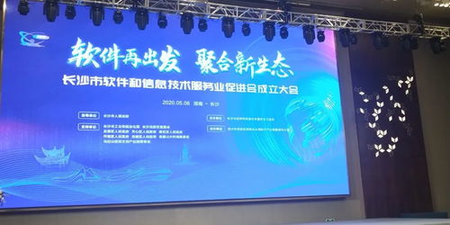 长沙市软件和信息技术服务业促进会隆重召开 搜云科技受邀出席