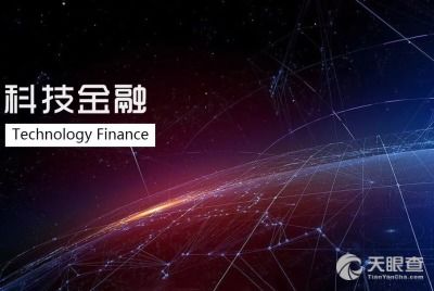 四川东鼎里智信息技术有限责任公司周琳 工商 风险信息 天眼查