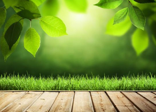 2019年挑地板 除了价格还应该看哪几点？